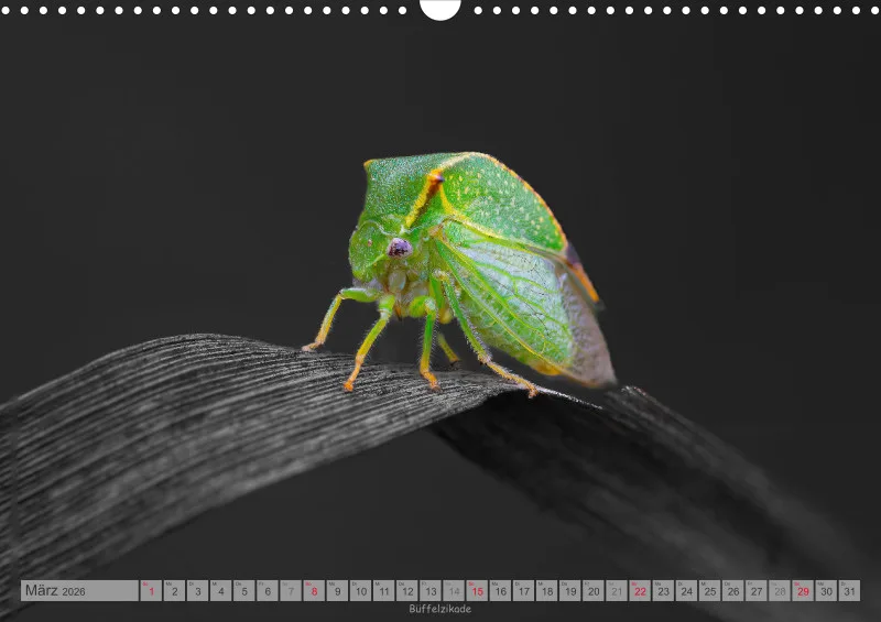 Colorkey