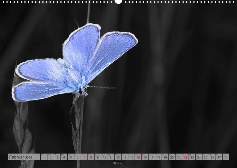 Colorkey