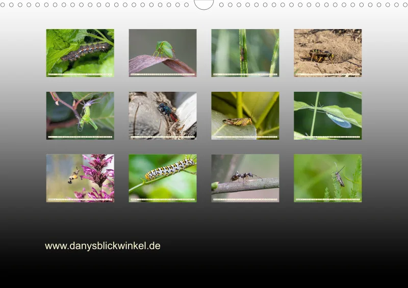 Insekten
