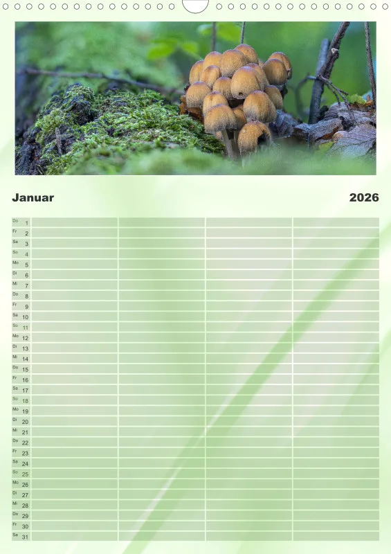 Pilze Familienkalender