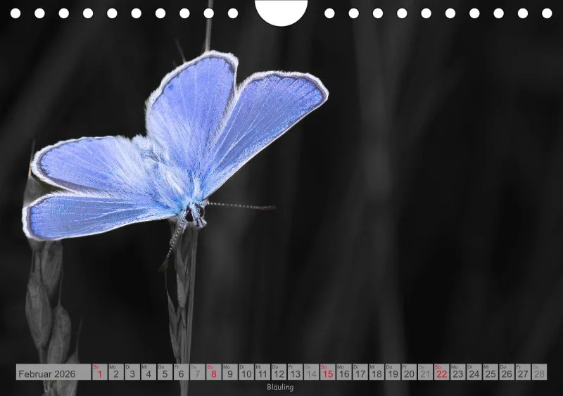 Colorkey