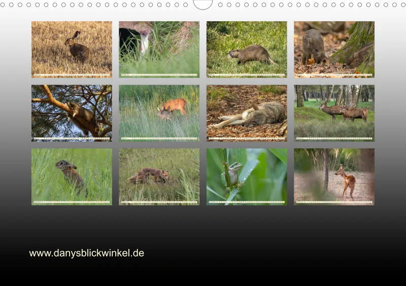 Wildtiere