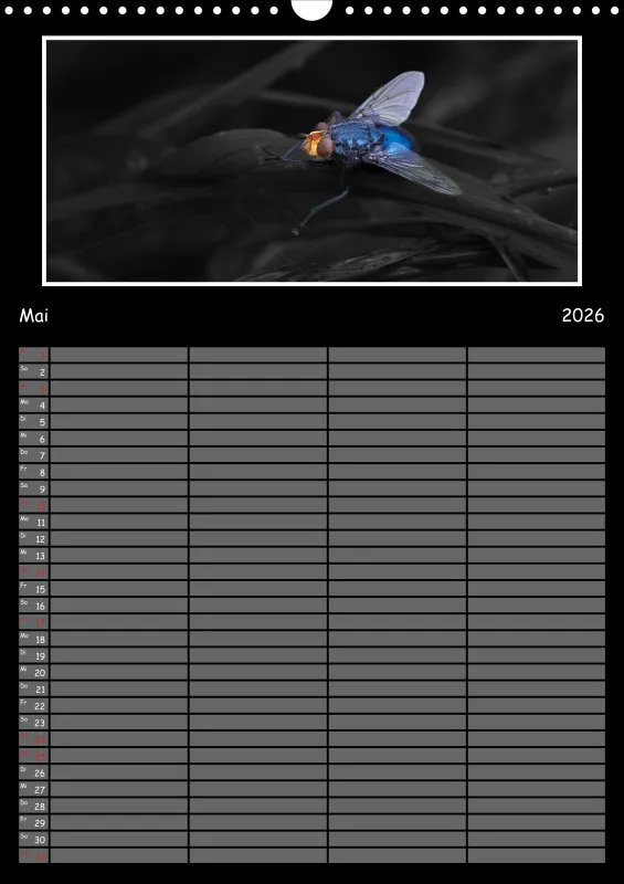 Colorkey Familienplaner