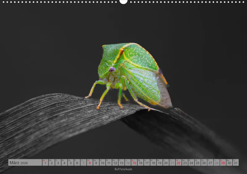 Colorkey