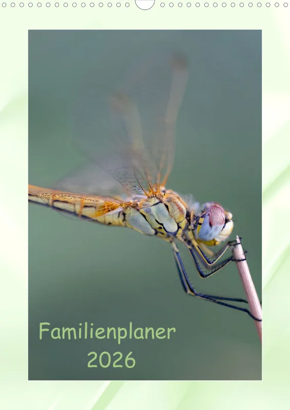 Libellen Familienplaner