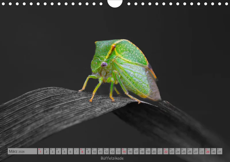 Colorkey