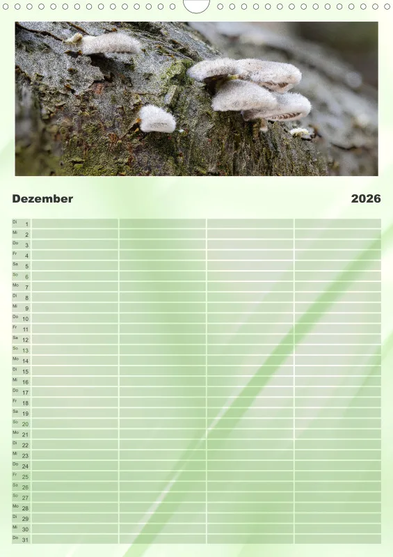 Pilze Familienkalender