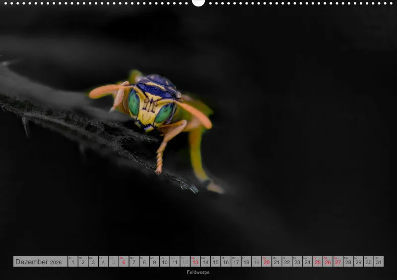 Colorkey