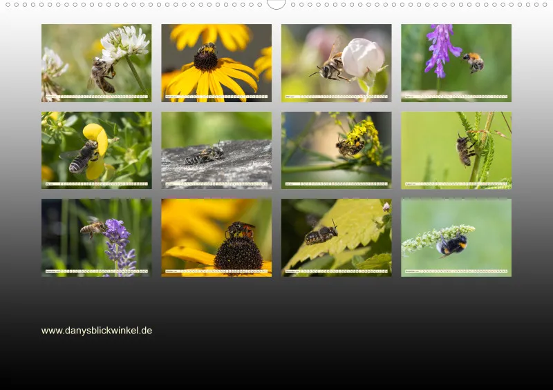 Bienen/Hummeln