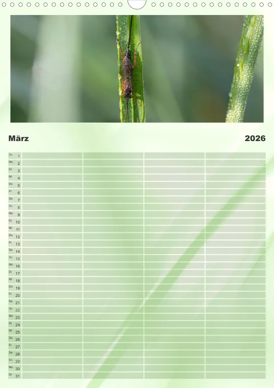 Insekten Familienplaner