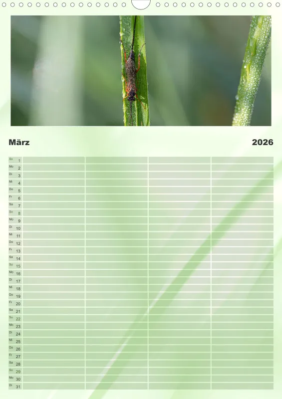 Insekten Familienplaner