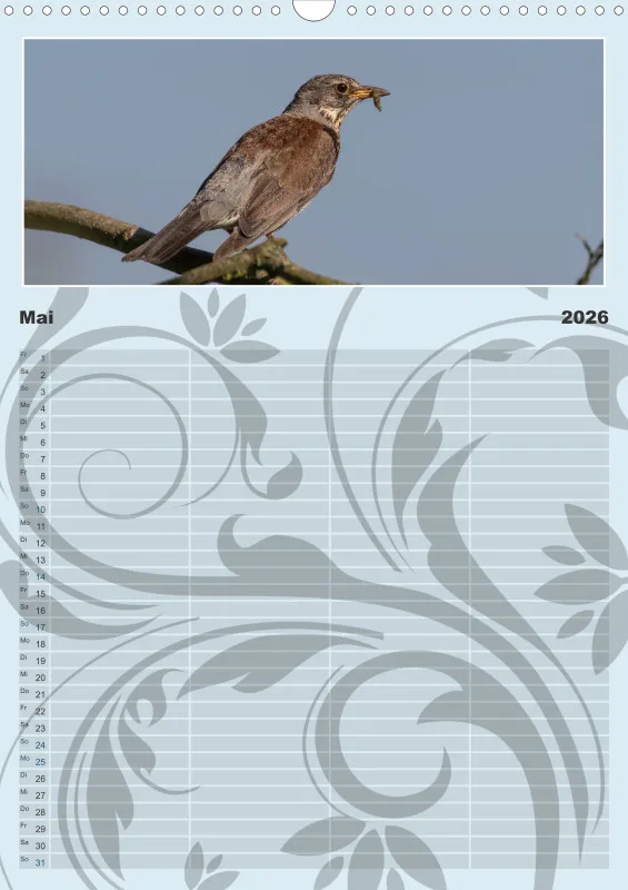 Vögel II Familienplaner