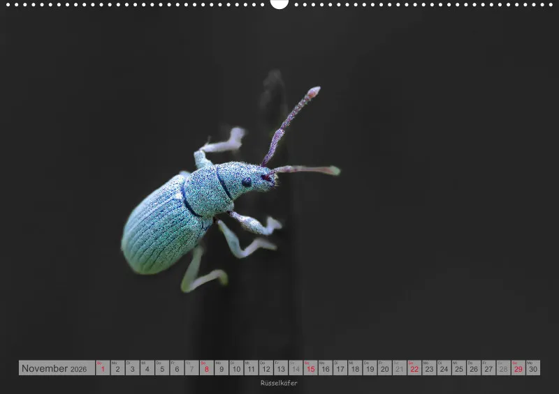 Colorkey