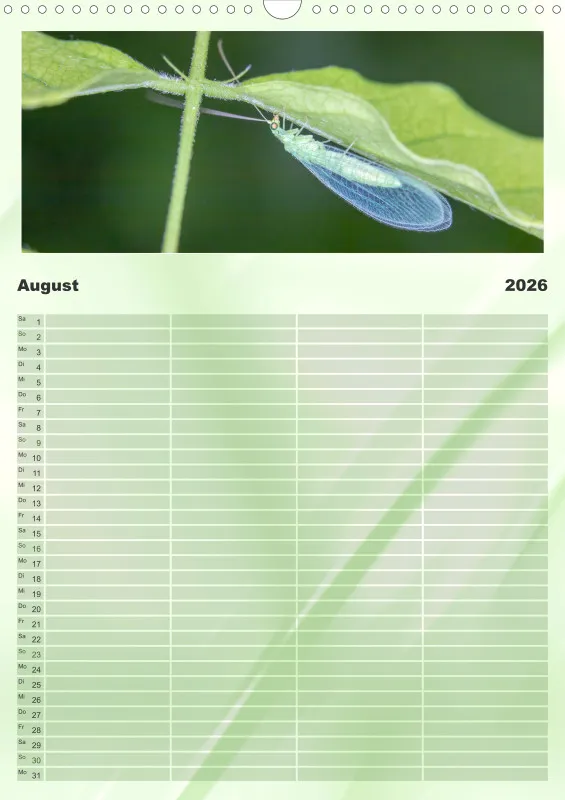 Insekten Familienplaner