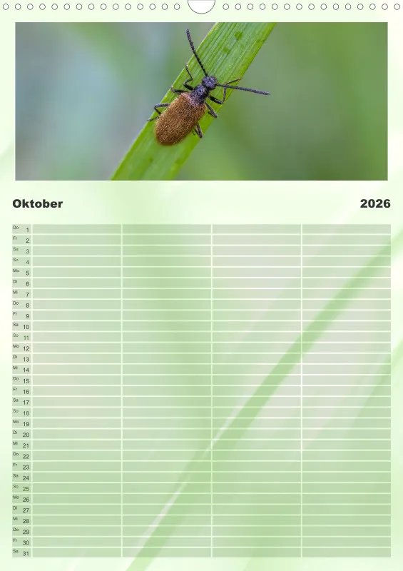 Käfer Familienplaner