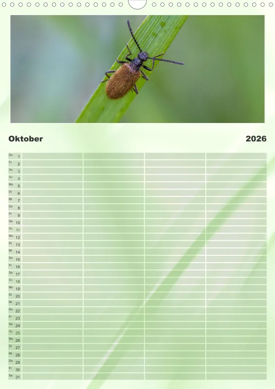 Käfer Familienplaner