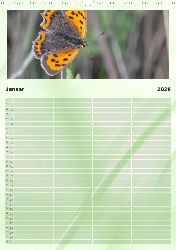 Schmetterlinge Familienplaner