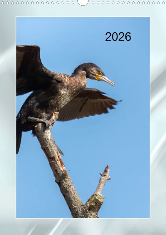 Vögel am Wasser Familienplaner