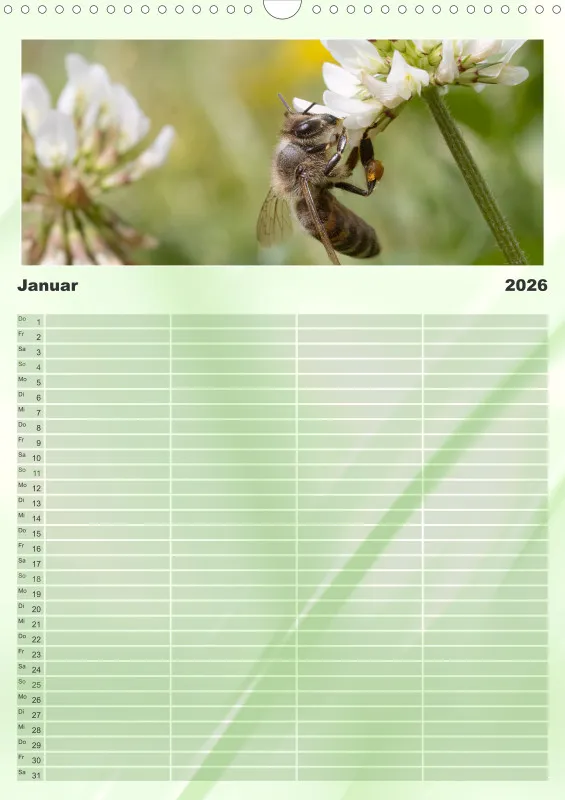 Bienen/Hummeln Familienplaner