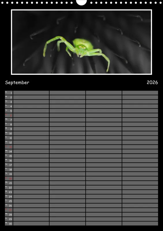 Colorkey Familienplaner