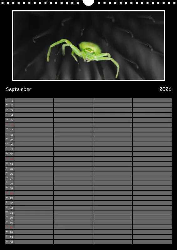 Colorkey Familienplaner