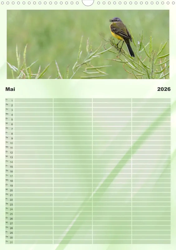 Vögel I Familienplaner