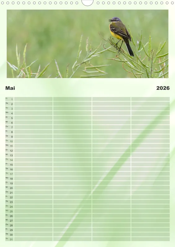 Vögel I Familienplaner