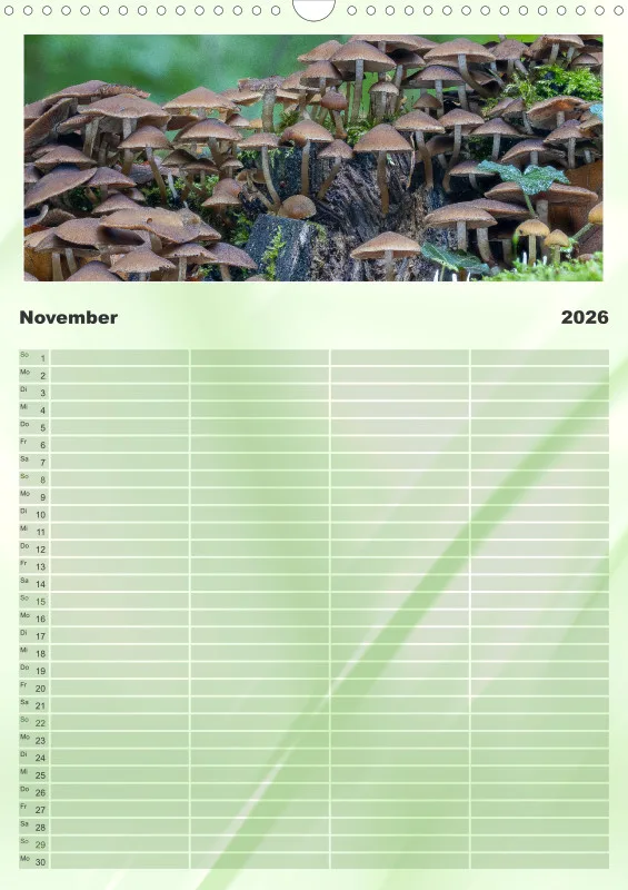 Pilze Familienkalender