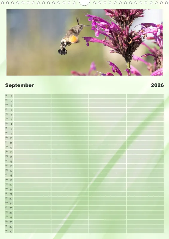 Insekten Familienplaner