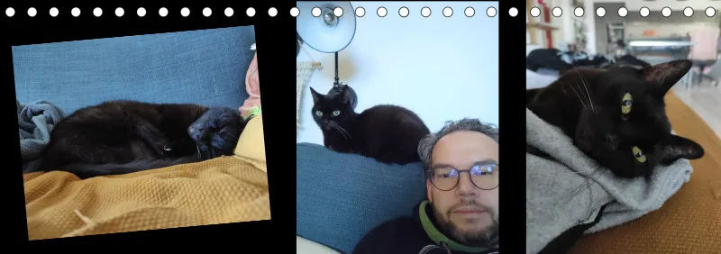 Vögel I Familienplaner