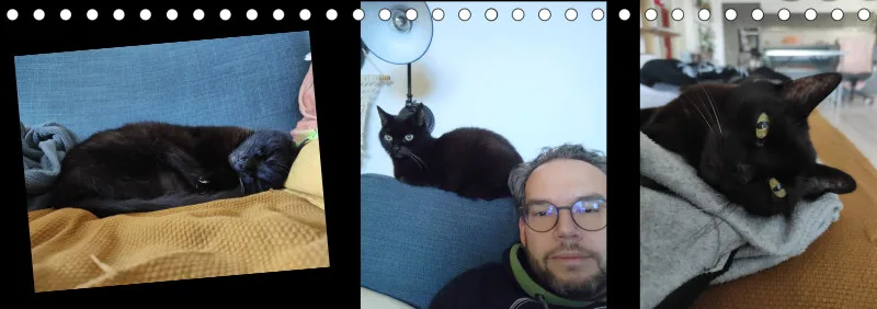 Vögel I Familienplaner