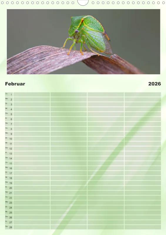 Insekten Familienplaner