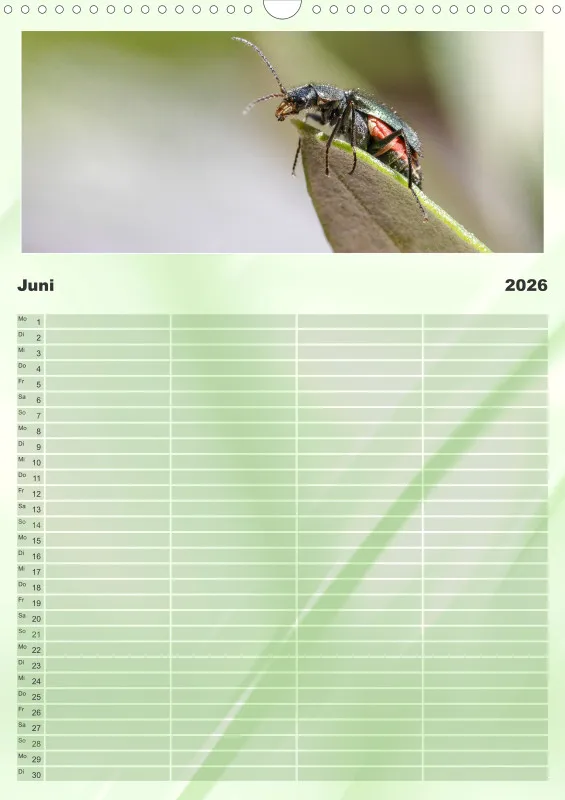 Käfer Familienplaner
