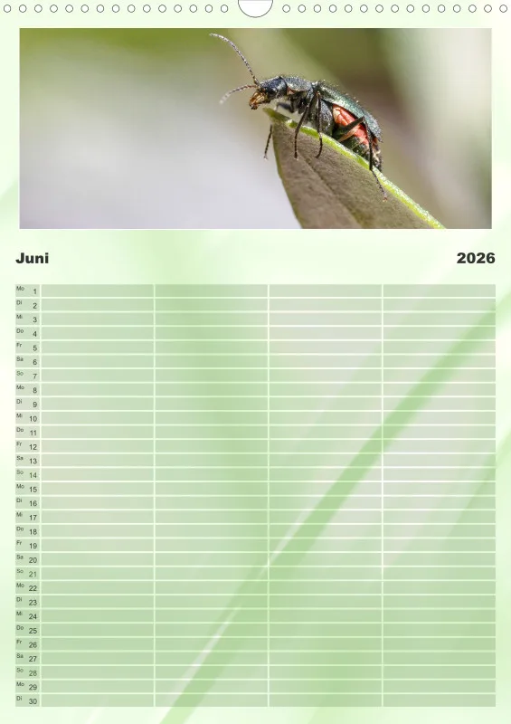 Käfer Familienplaner