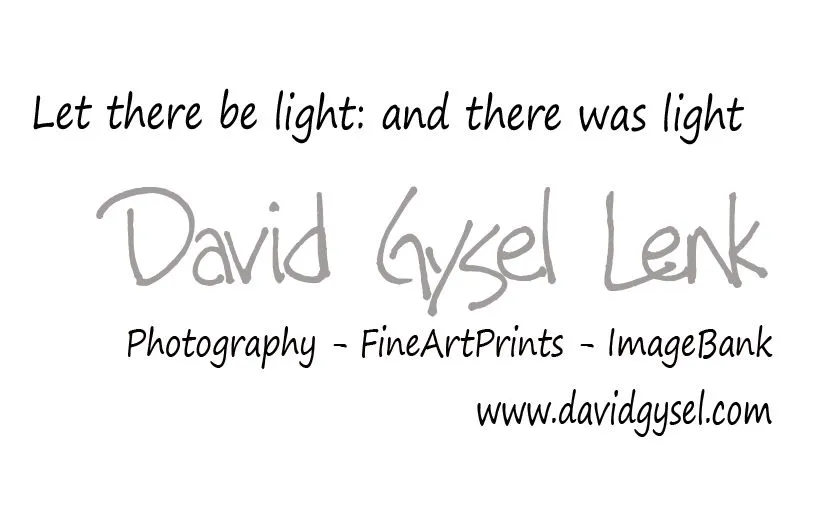 davidgysel