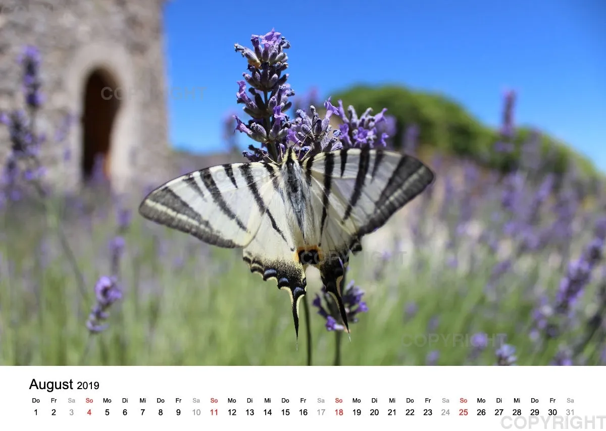 Fotokalender - La Provence