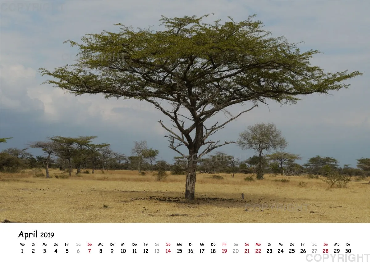 Fotokalender - Beautiful Landscape