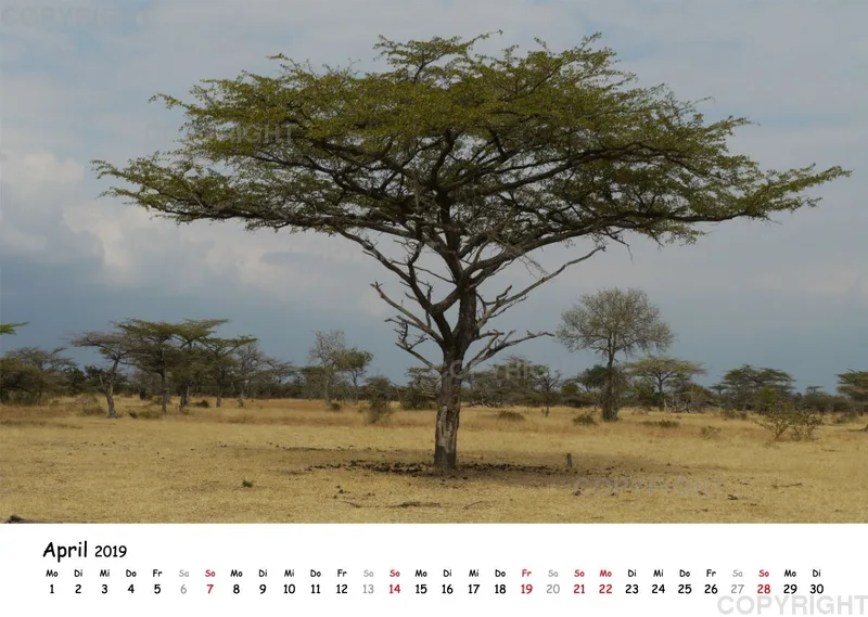 Fotokalender - Beautiful Landscape