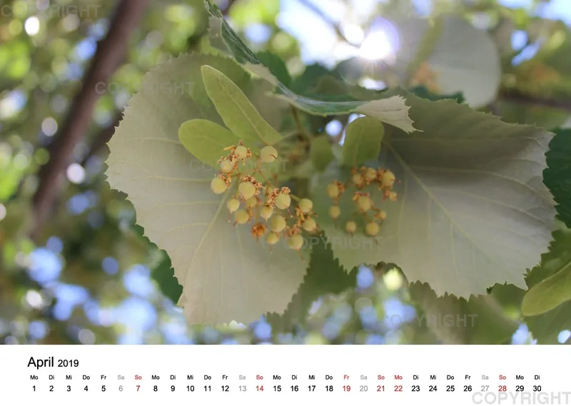 Fotokalender - La Provence