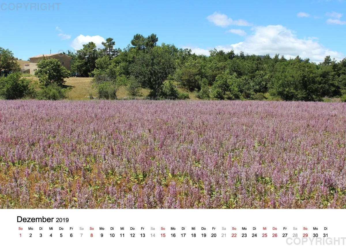 Fotokalender - La Provence