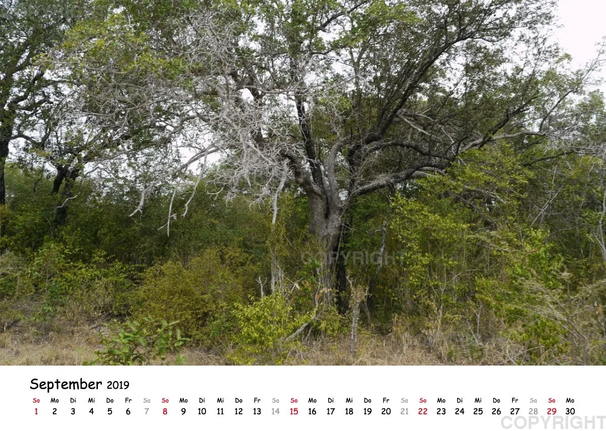 Fotokalender - Beautiful Landscape