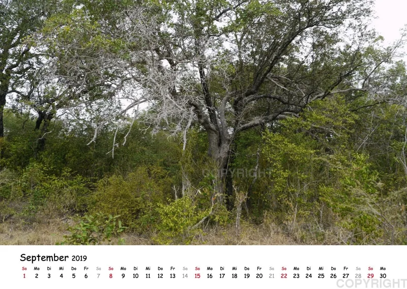 Fotokalender - Beautiful Landscape