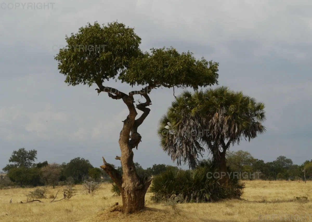 Fotokalender - Beautiful Landscape