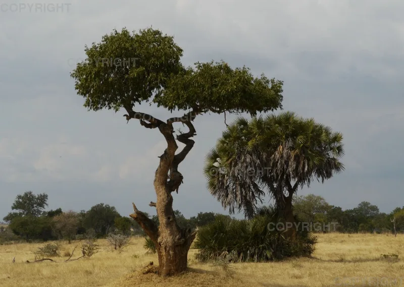Fotokalender - Beautiful Landscape