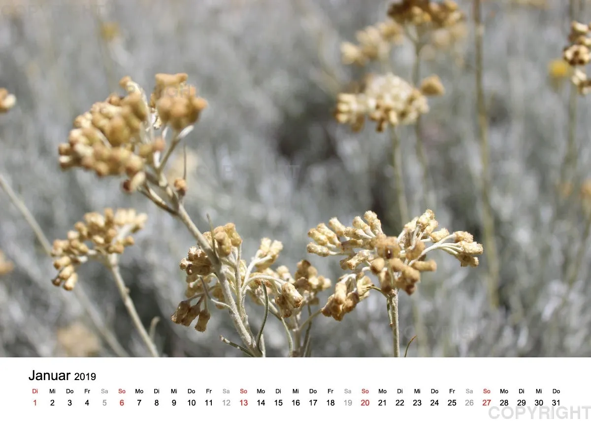 Fotokalender - La Provence