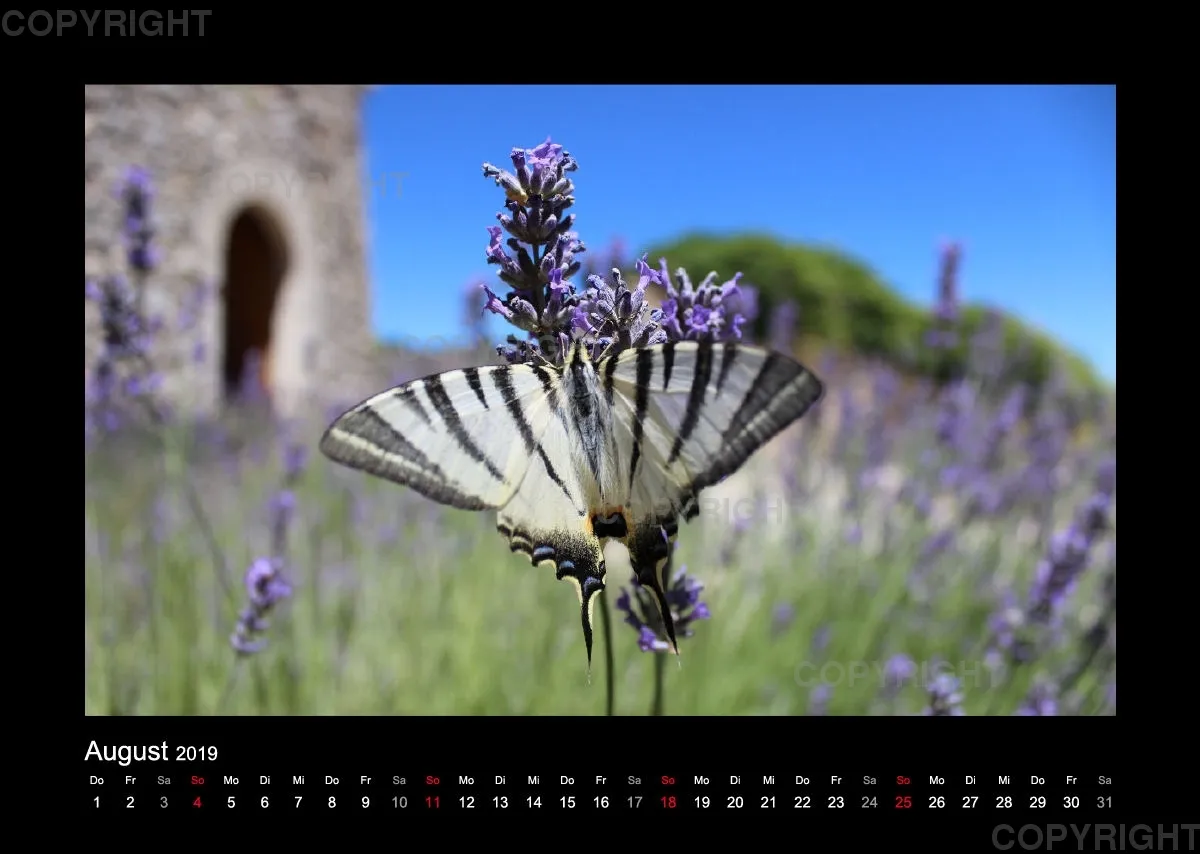 Fotokalender - La Provence II