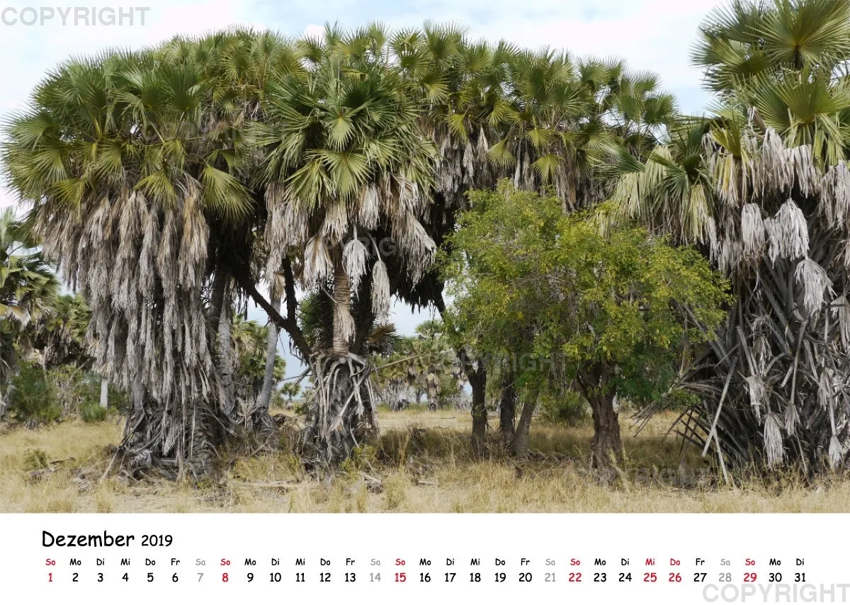 Fotokalender - Beautiful Landscape
