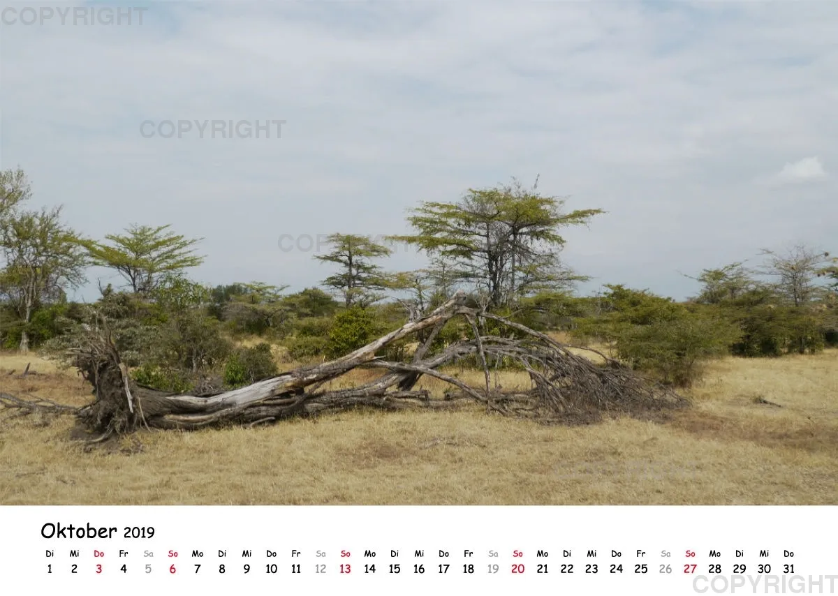 Fotokalender - Beautiful Landscape