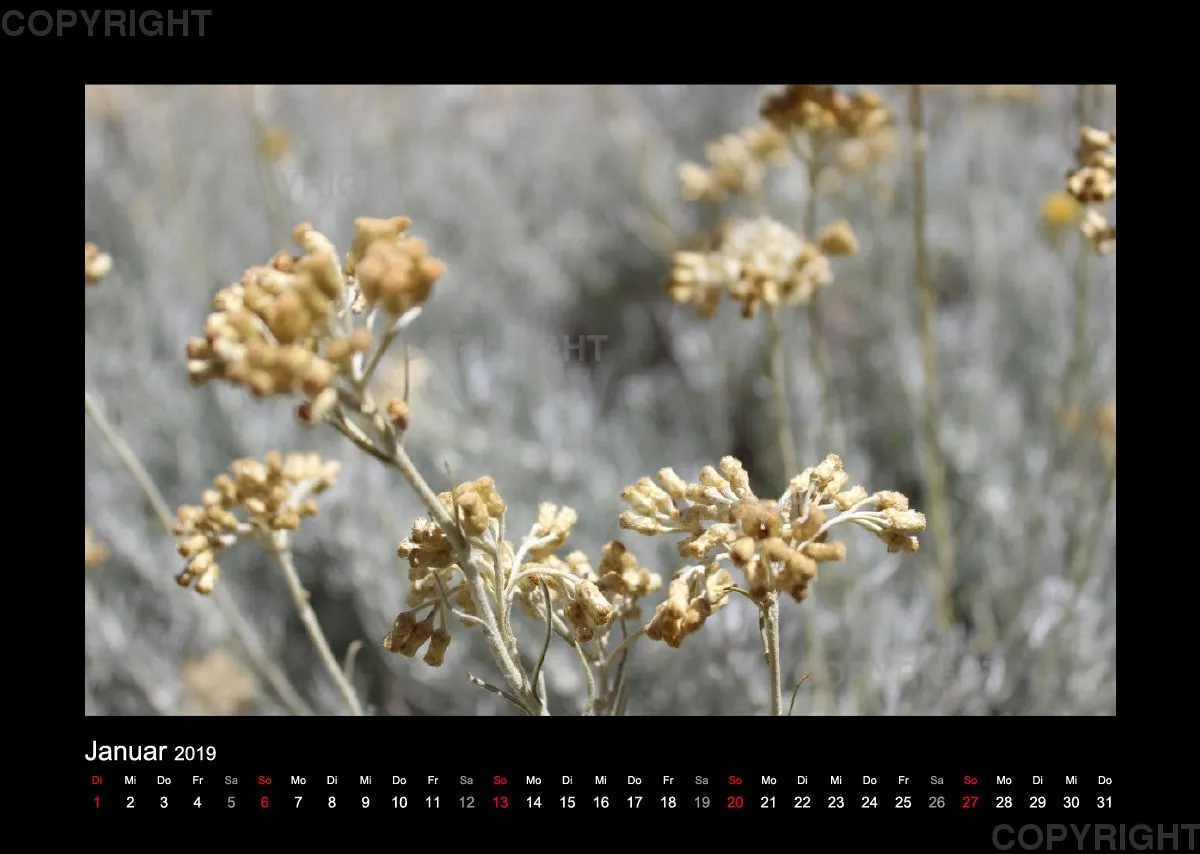 Fotokalender - La Provence II