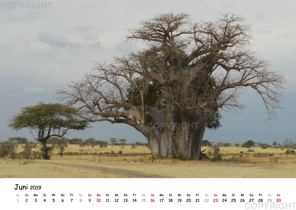 Fotokalender - Beautiful Landscape